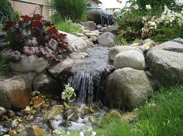 ehuns ville fleurie.jpg