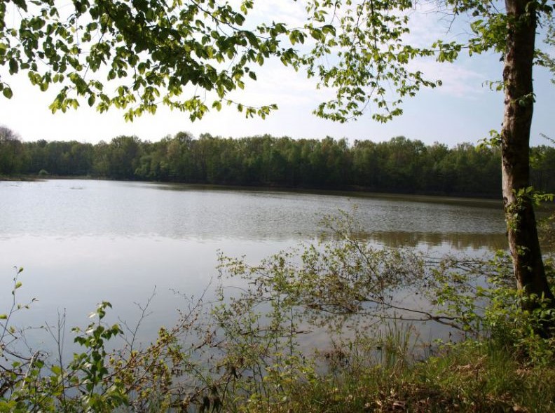 Etang du Châtelet à Citers.jpg