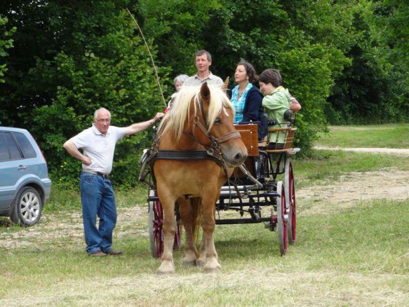 Promenade en calèche2.jpg