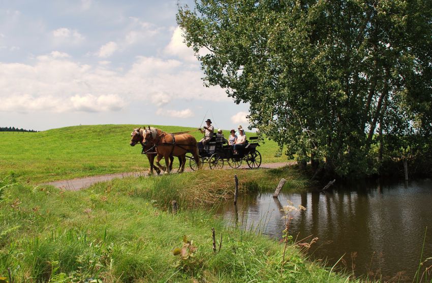 Promenade en calèche1.jpg