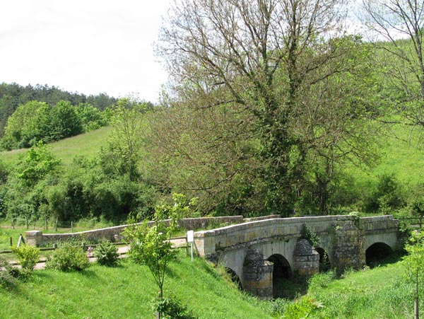 Colombe la Colombine.jpg