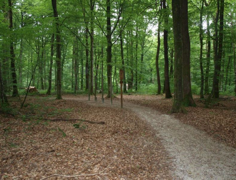 Parcours de santé de Châtenois2.jpg