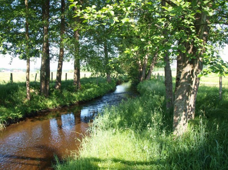 La Lanterne _1ère catégorie_.jpg