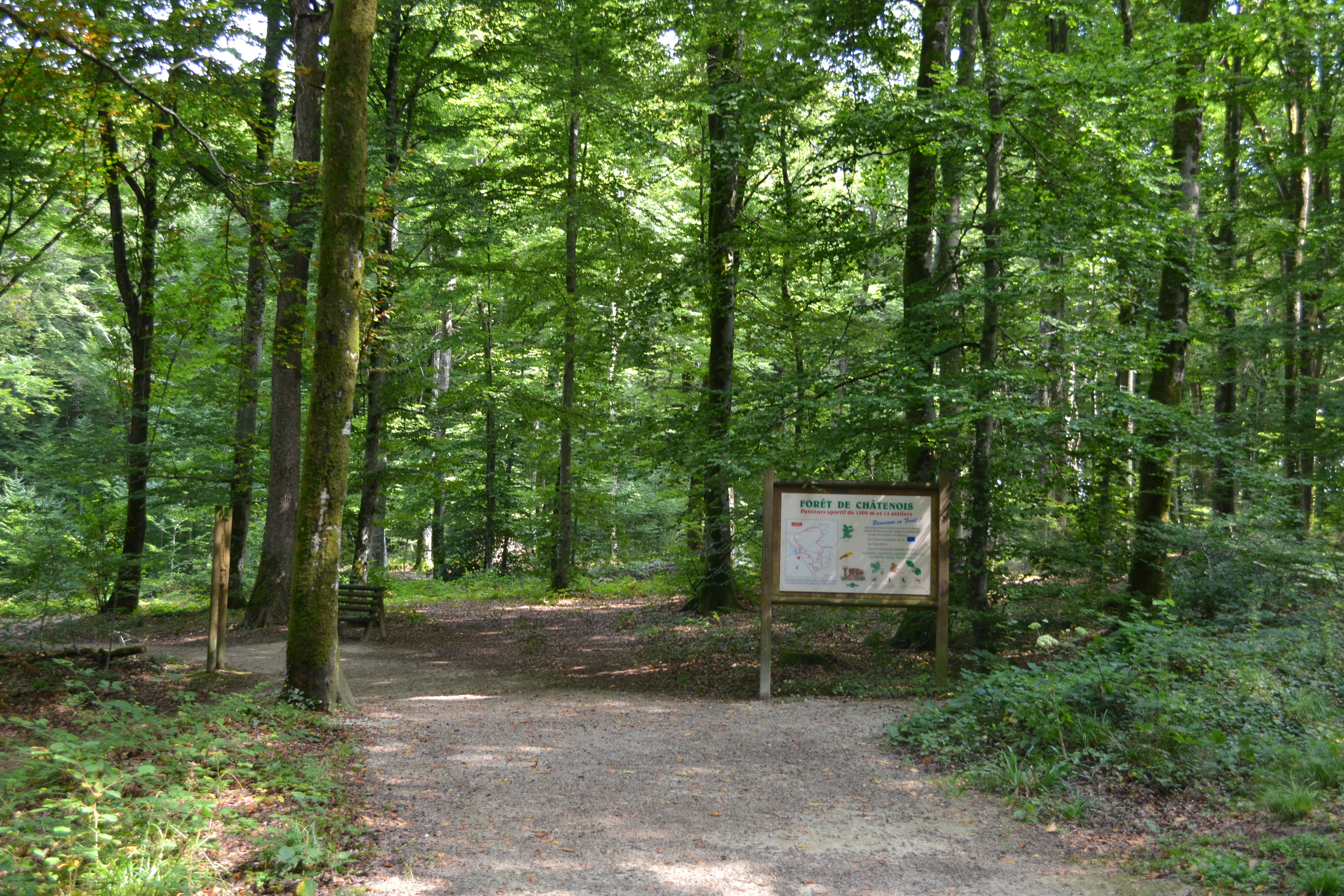 DSC_0004.JPG