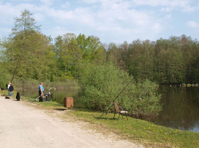 Etang de la Velle à Citers.jpg