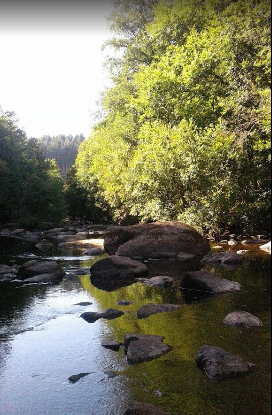 La creuse colombine - Jenny Beenen.jpg