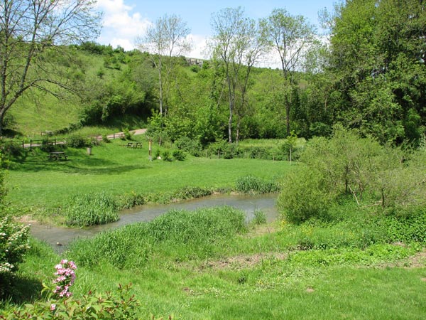 Colombe la Colombine1.jpg