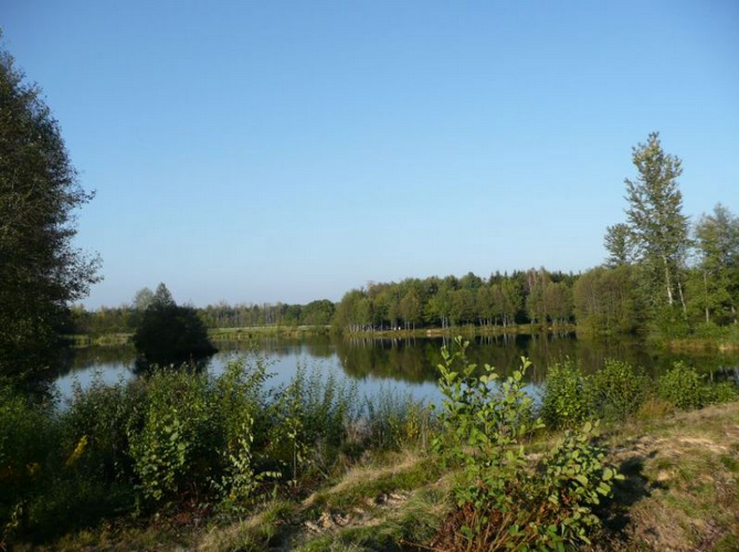 L_étang de la Trinquotte2.png