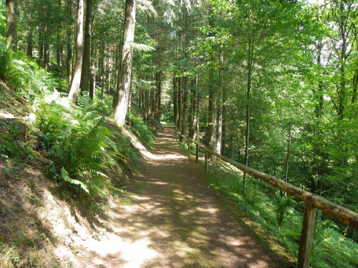 Parc à l_anglaise de la Cude 2.jpg