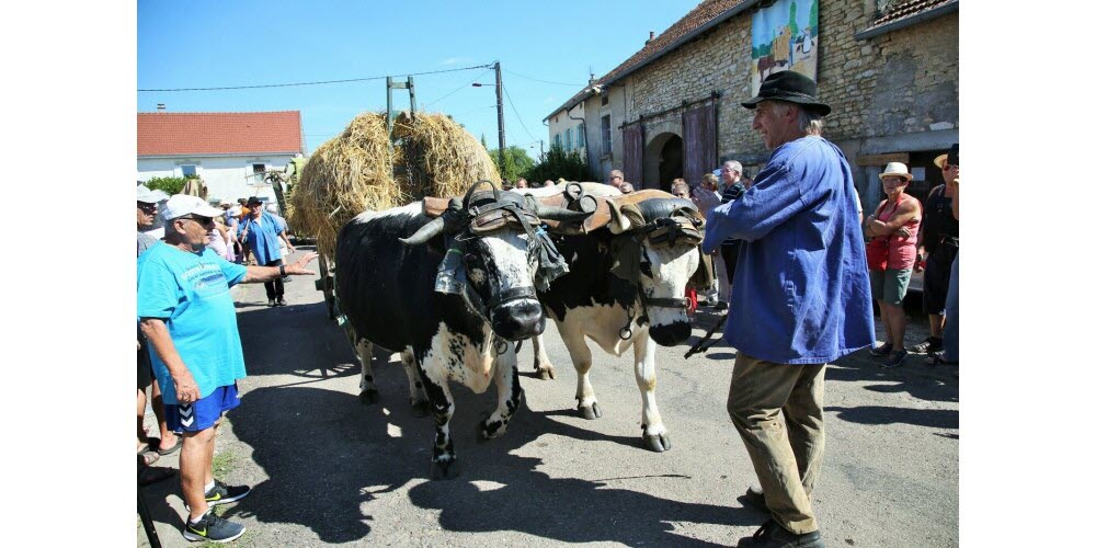 Villers le sec - les amis du joli bois - photo Bruno Grandjean 1.jpg