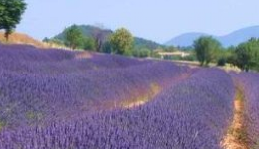04 - Alpes de Haute Provence.png