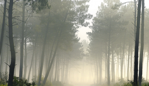 40 - Landes _UNCBPT_.png
