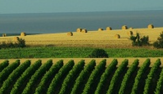33 - Gironde _UNCBPT_.png