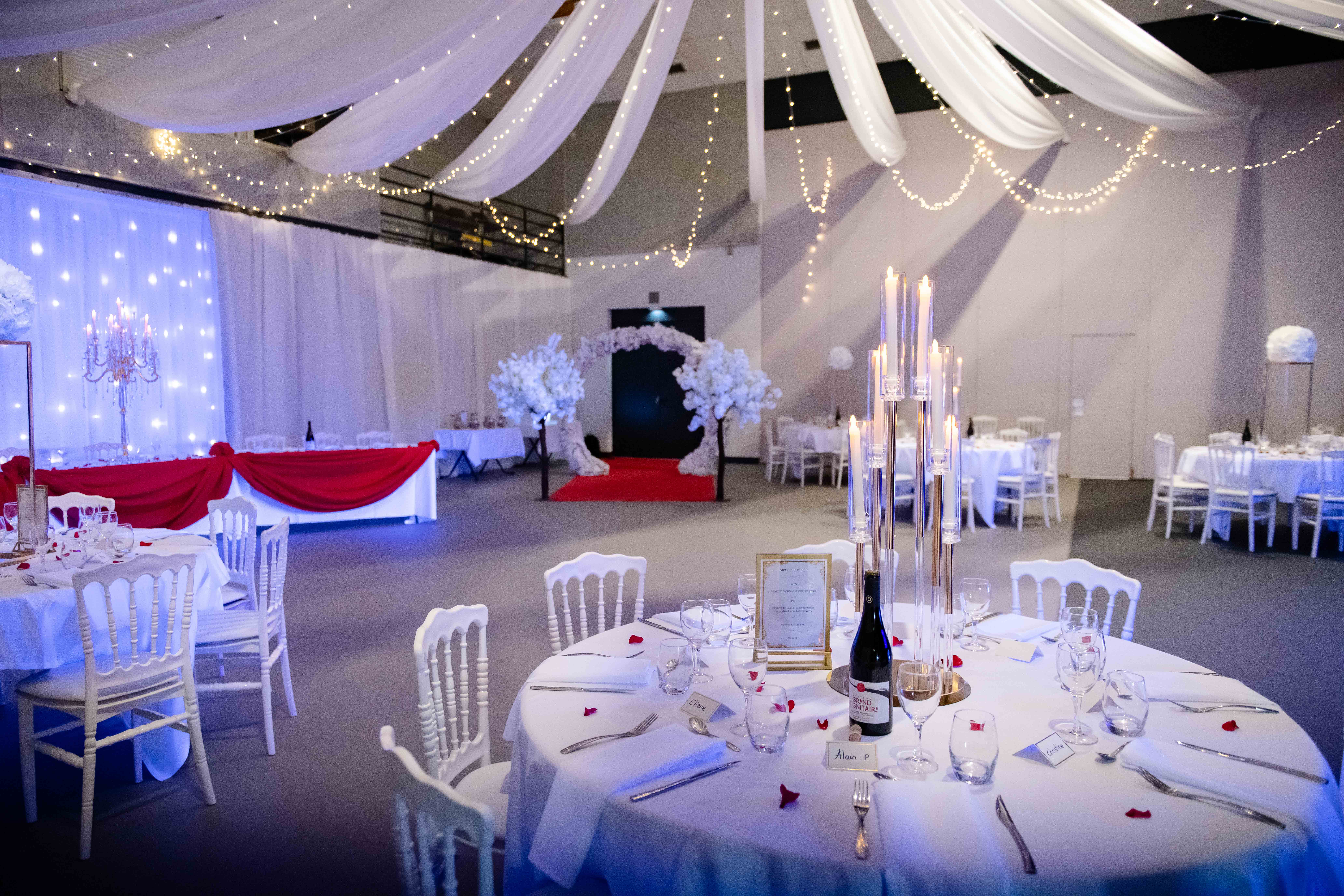 Marine et Mickael by Marie-Cat HD-450.jpg