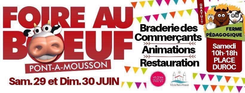 foire au boeuf 2019.jpg