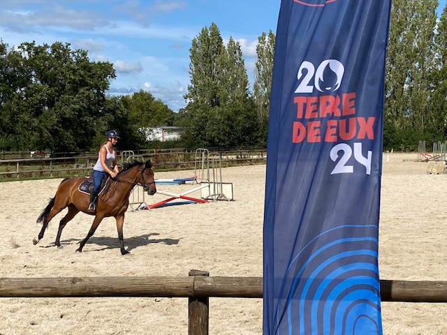 prpéparation concours hippique.jpg