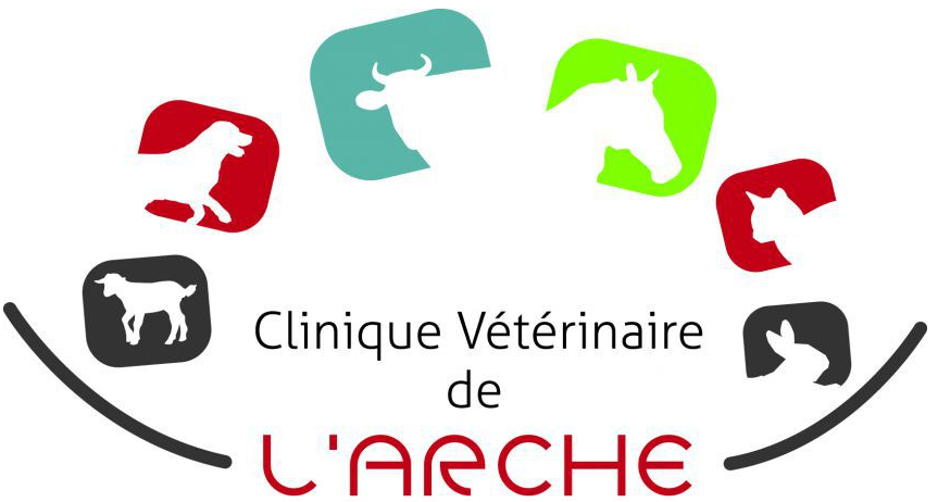 Clinique vétérinaire de l_Arche logo.png