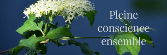 Couverture pleine conscience ensemble 2021.jpg
