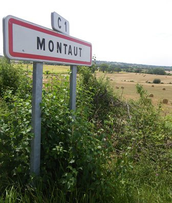 Mont1.jpg