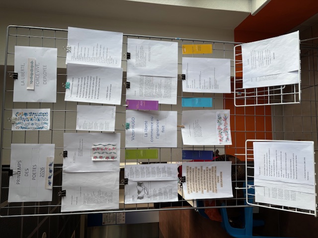 IMG_3149 DRACY COMC .jpg