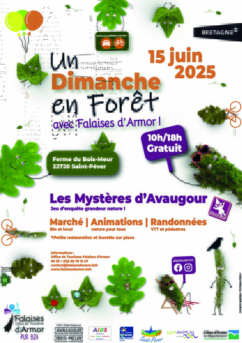 un dimanche en foret 2025.jpg