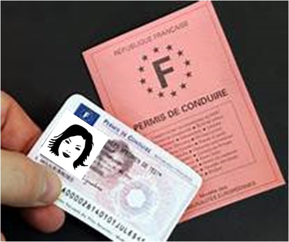 permis conduire x.jpg
