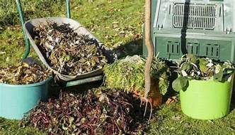 déchets verts.jpg