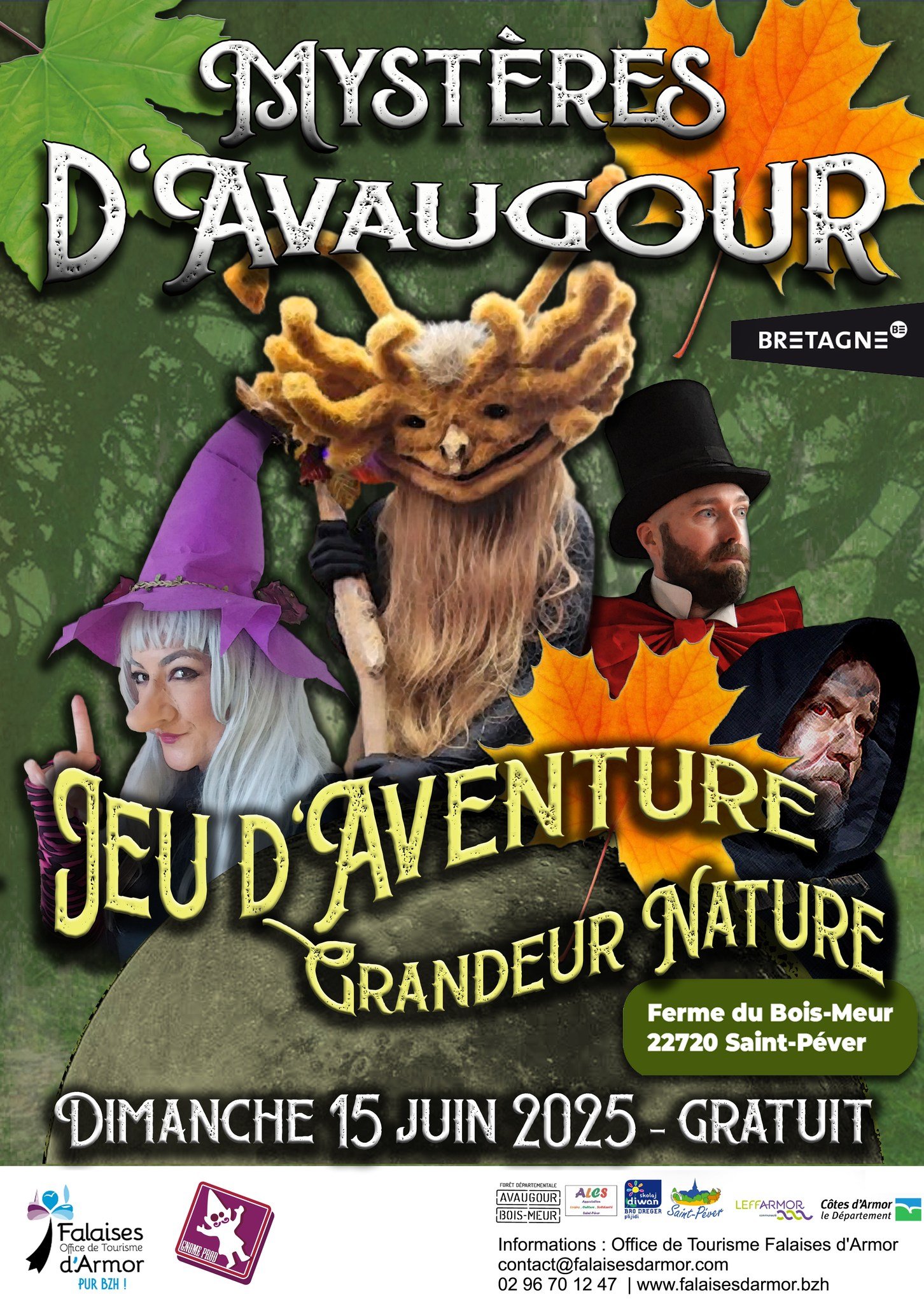 mystères davaugour.jpg