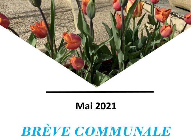 breve mai 2021.jpg