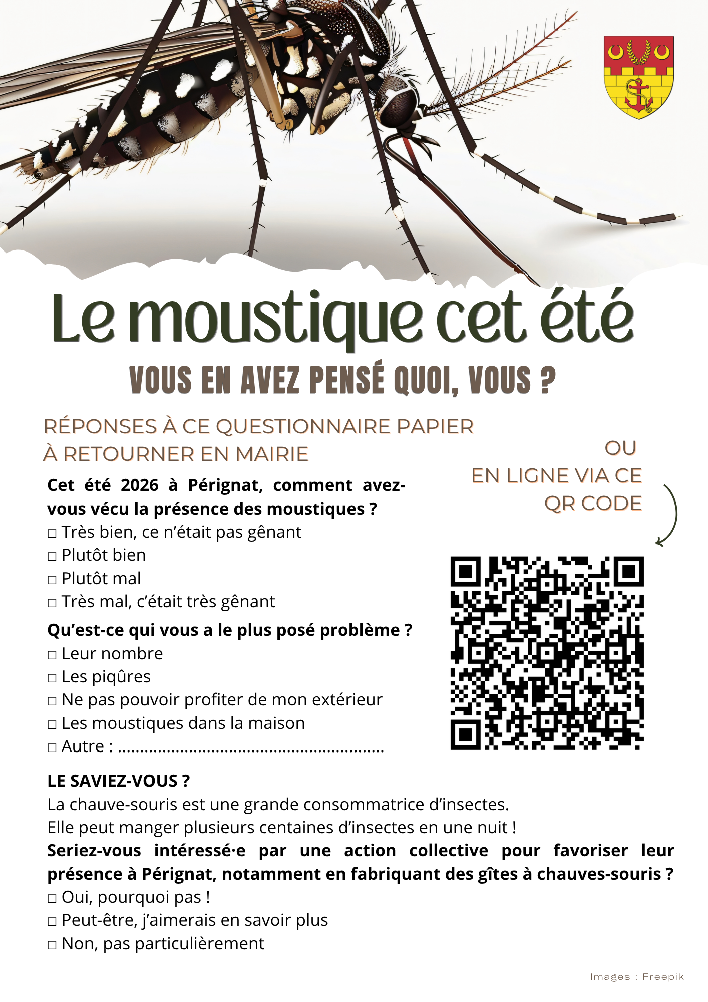 2026-09 - chauves souris 1.png