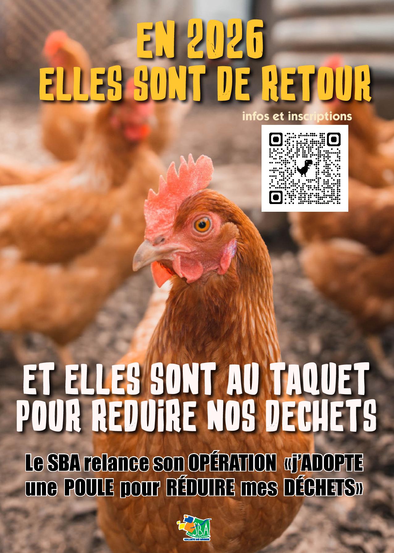 2026-04 - SBA Poules.jpg