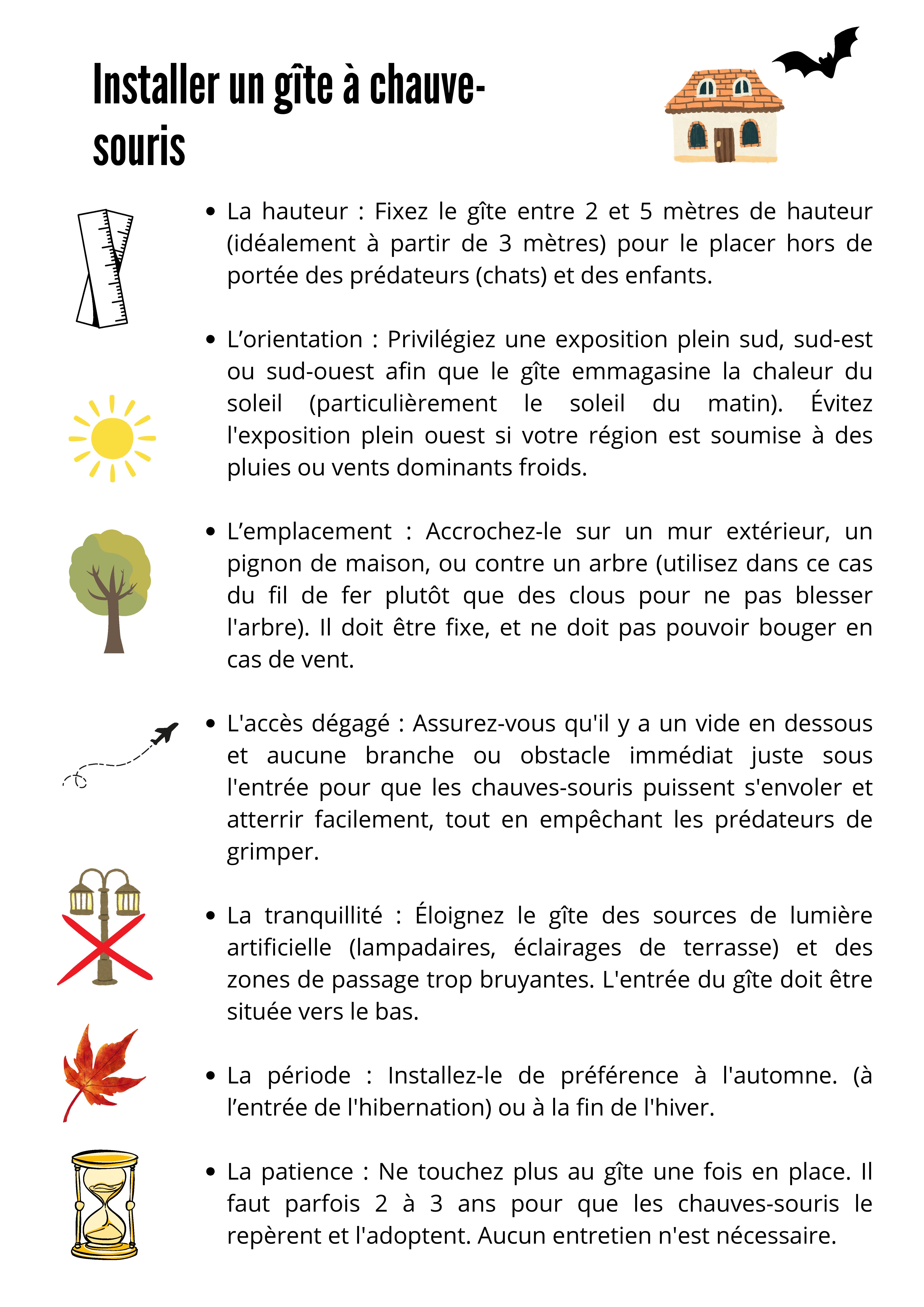 2026-10-28 - sensibilisation chauve-souris-2.jpg