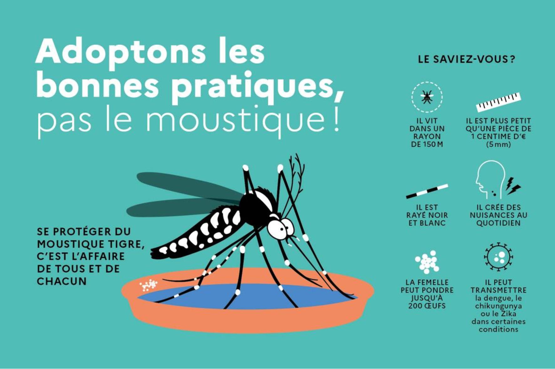 Moustique Tigre - page 1.jpg