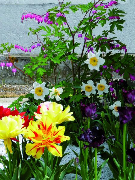 Cimetière - fleurs.jpg