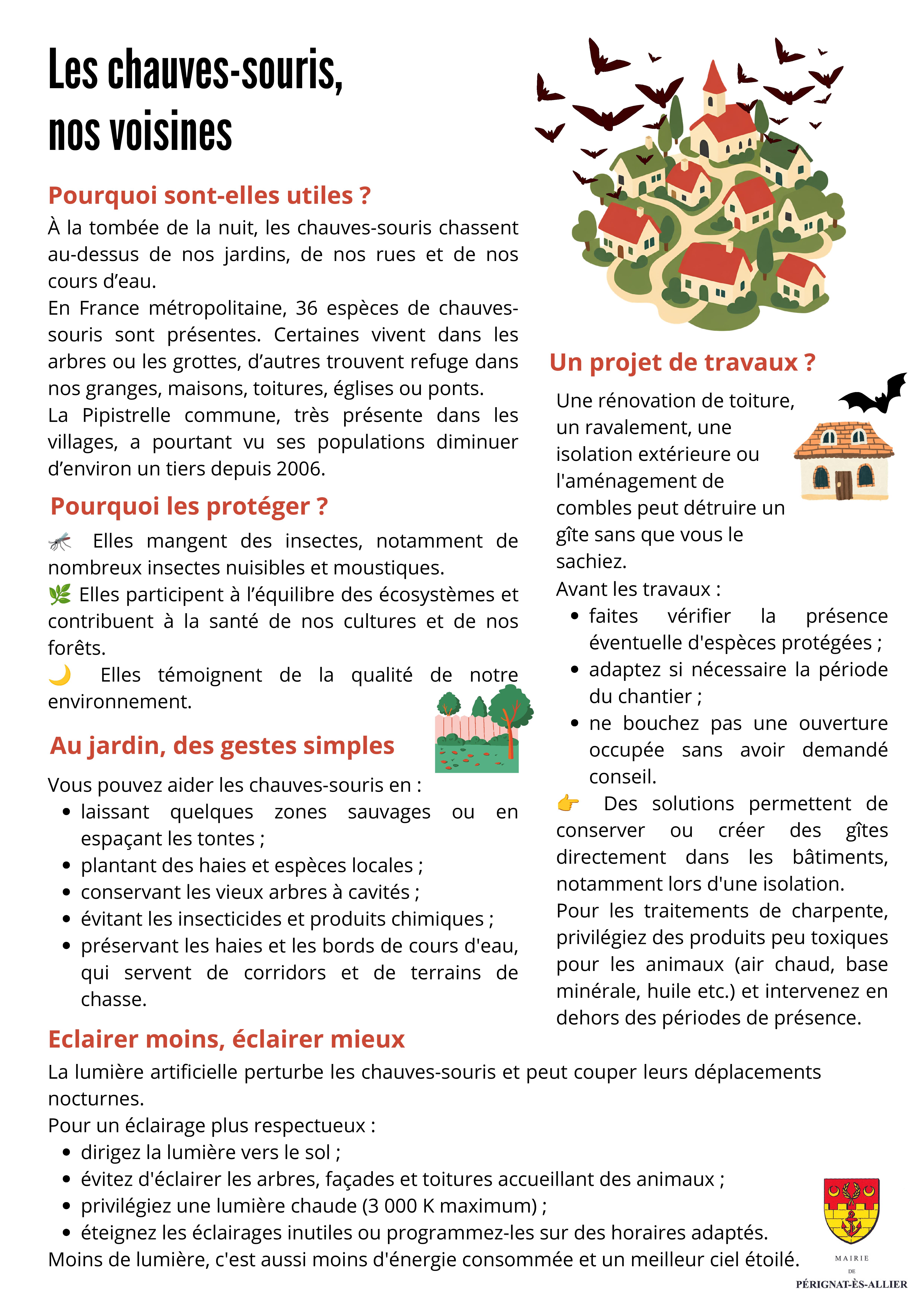 2026-10-28 - sensibilisation chauve-souris-1.jpg
