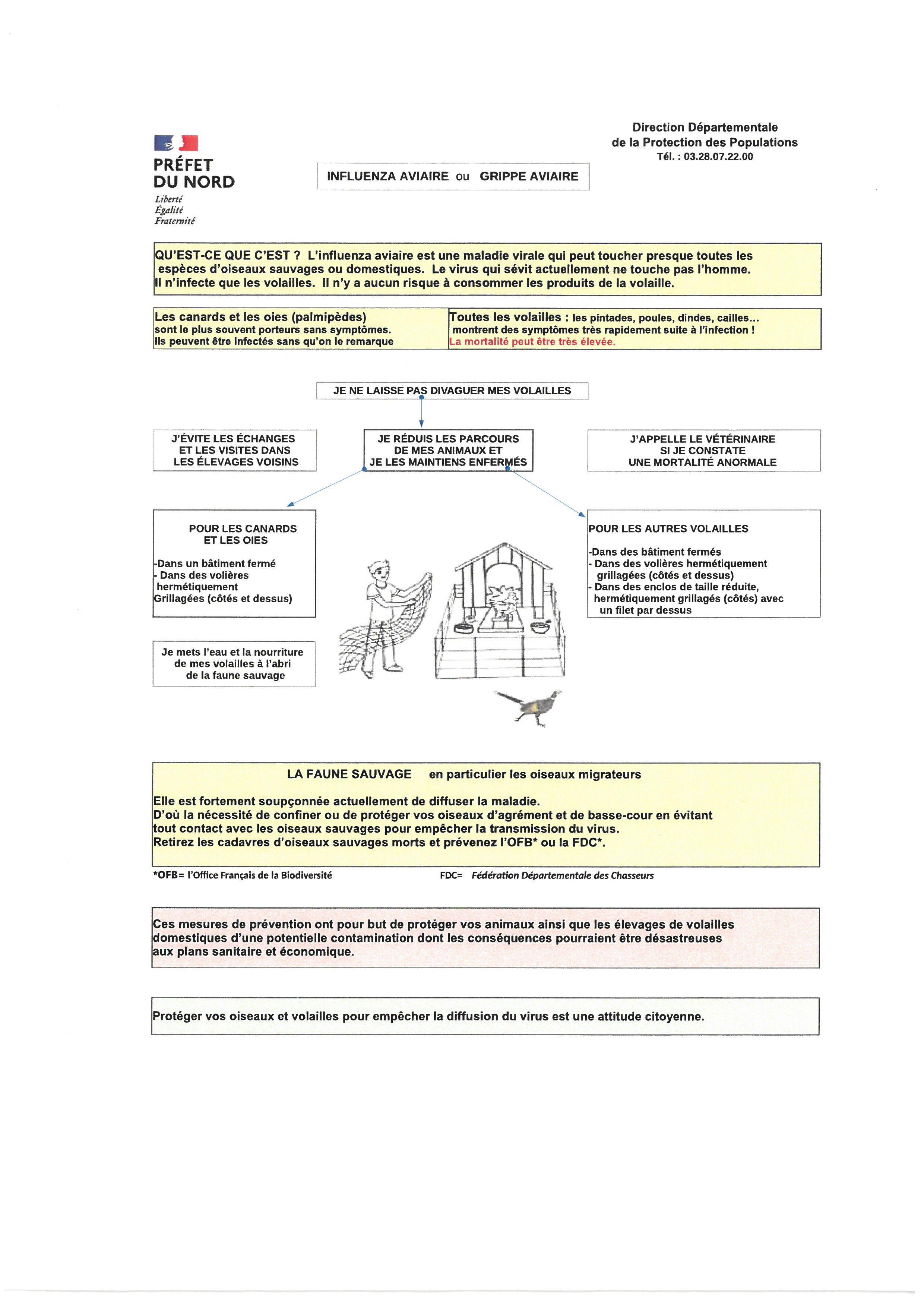 INFLUENZA AVIAIRE OU GRIPPE AVIAIRE - Commune d'Herzeele