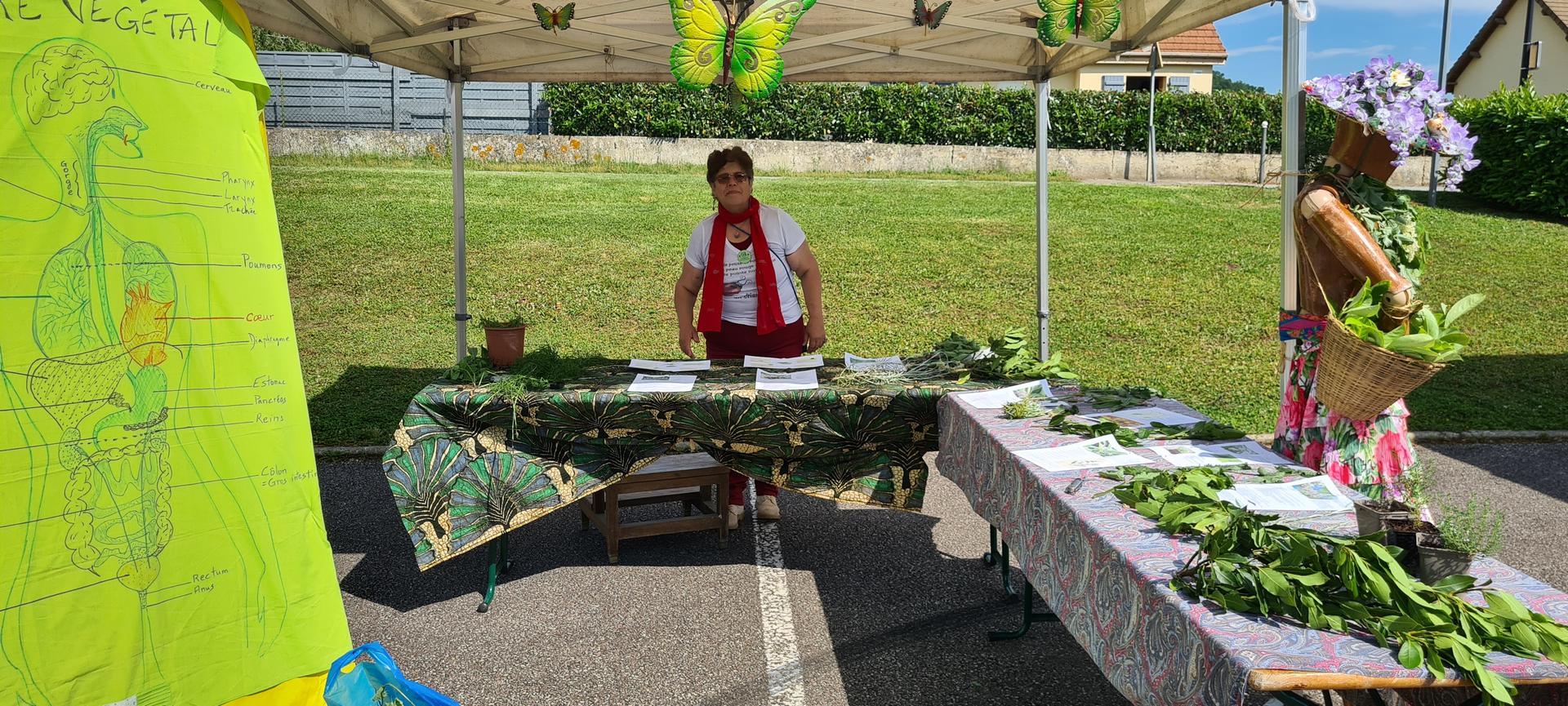 La vertue des végétaux.jpg