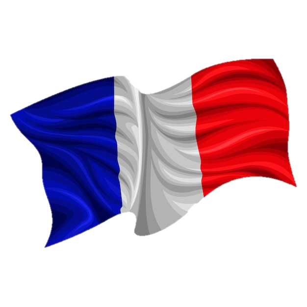 PHOTO DRAPEAU FRANCE.png