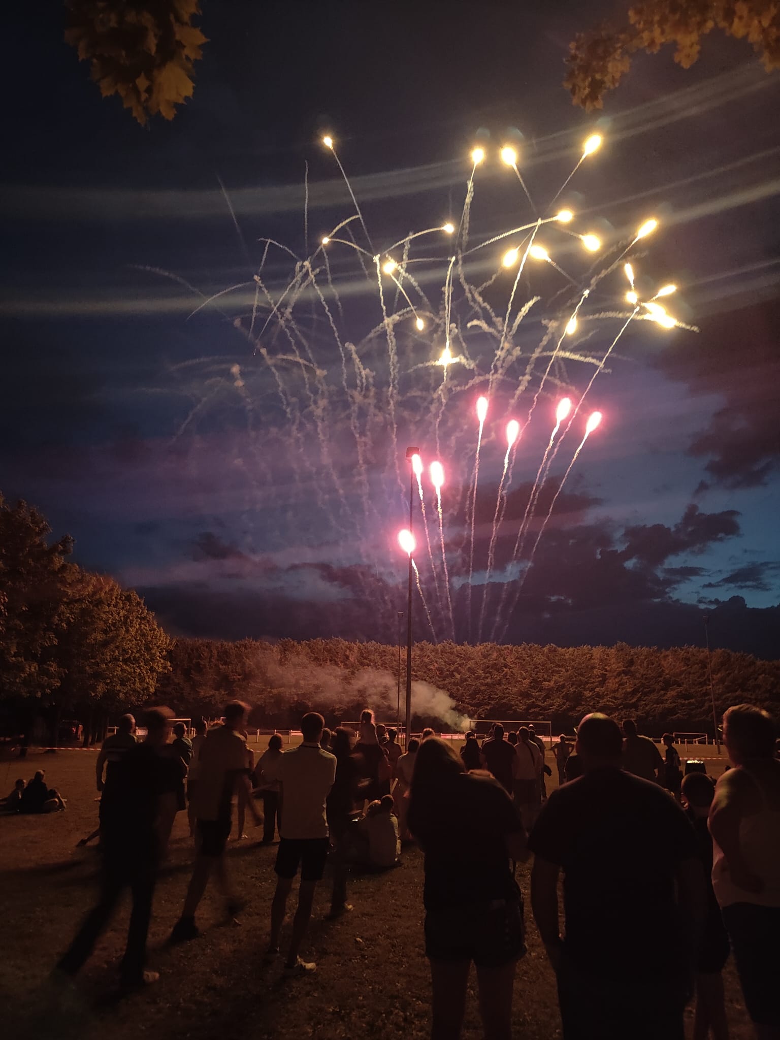 18-13-07-25-Feu_d_artifice-web-portrait _1_.jpg