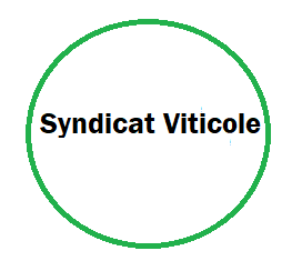 synd_viti.png