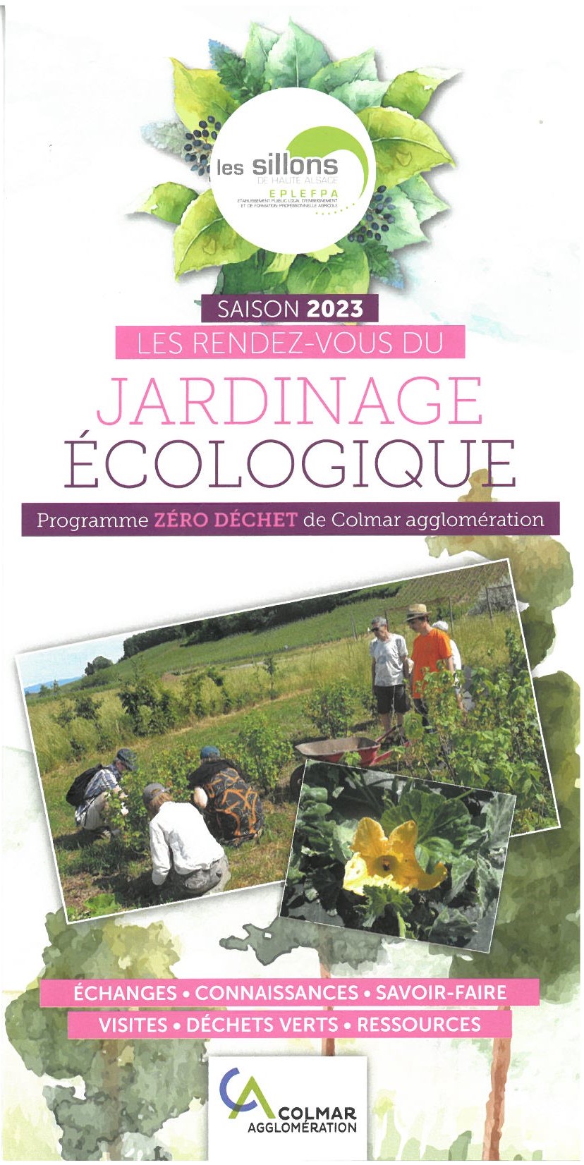 jardin_ecolo_1.jpg