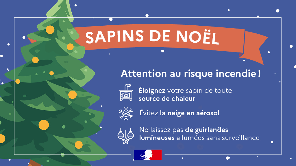 sapins_noel.jpg