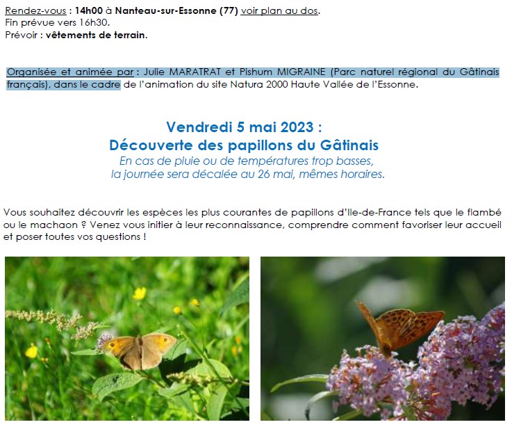 Decouverte Papillons 2023-03-18.jpg