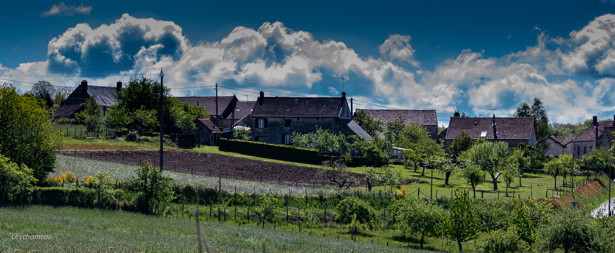 leychameau.jpg