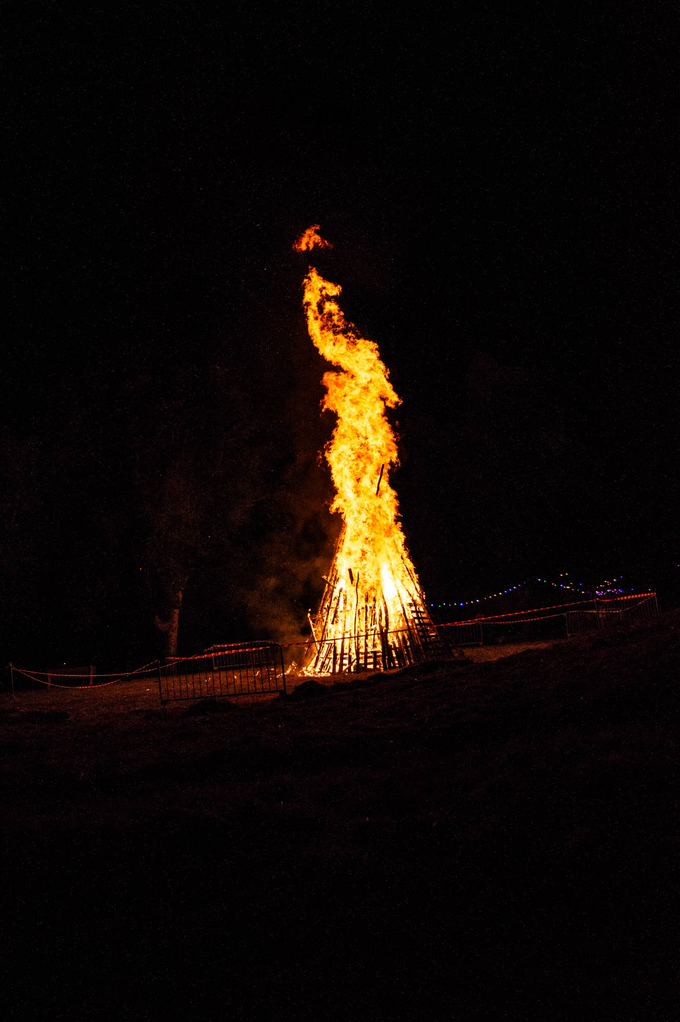 _DSC8106-2.jpg