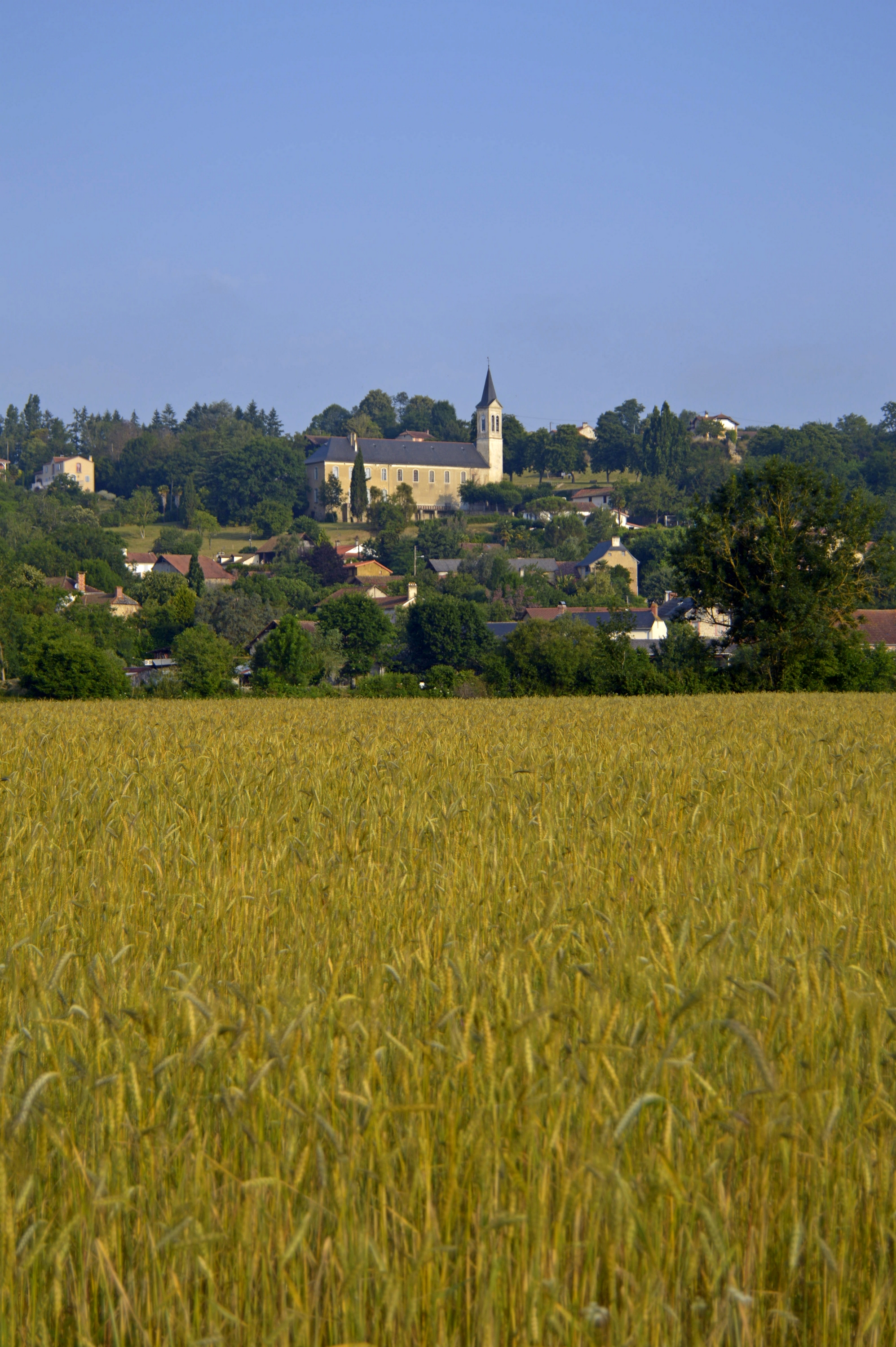 village portrait blé
