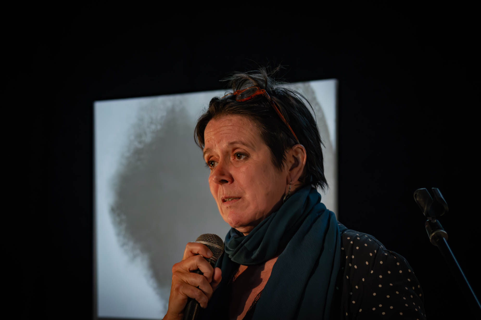 _DSC8589-Avec accentuation-Bruit-1.jpg