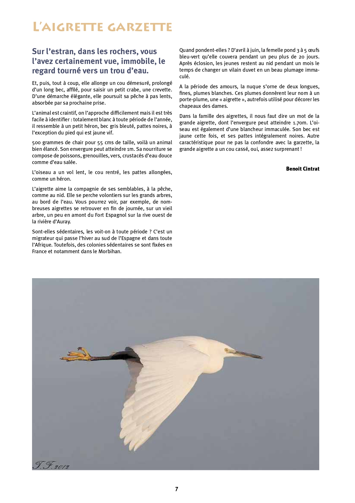 bulletin 65_page-0007.jpg