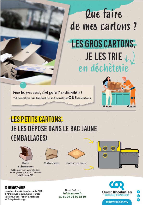 20260723_CARTONS_.jpg