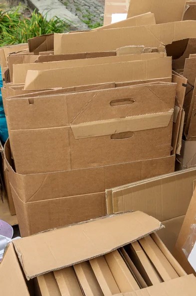 20260723_gros_cartons.jpeg